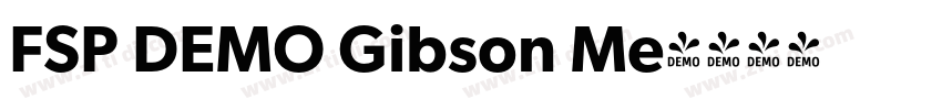 FSP DEMO Gibson Me字体转换 FSP DEMO Gibson Me字体转换